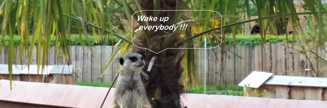  Just animals talking...