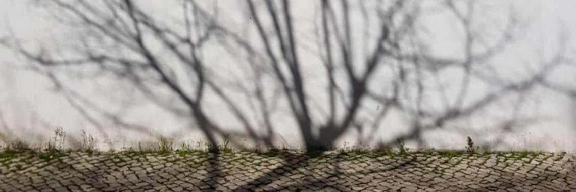  Living in shadows