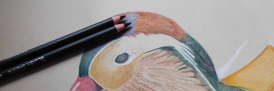  Mijn portfolio voor de drawingchallenge