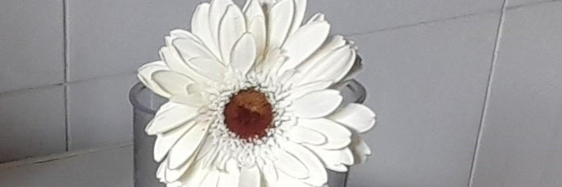  My special flower