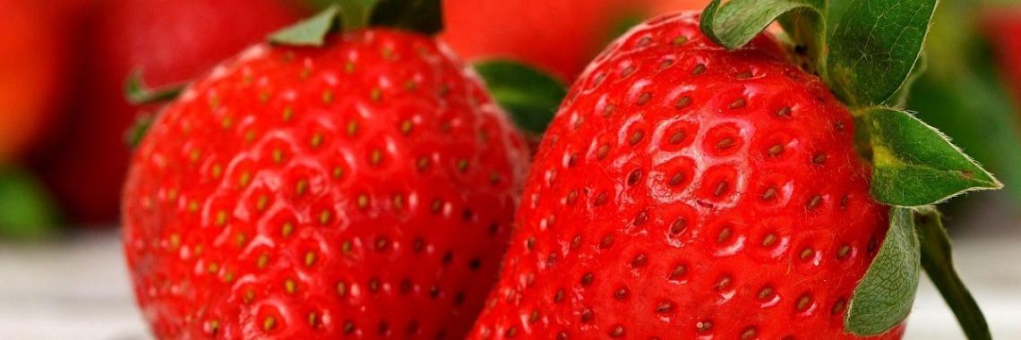  Op ons terras hebben wij het Zomerkoninkje