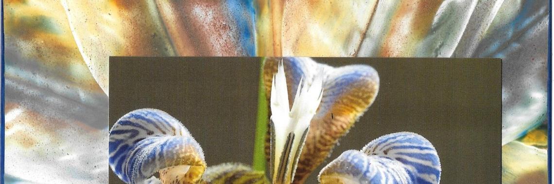  Picture framing met encaustic art: werkjes van de dag, 12-10-2019
