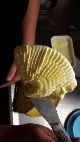  Schelp of paddestoel?