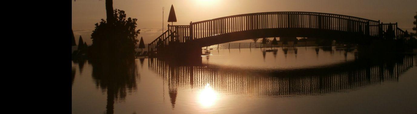 Silhouetfoto's van 2019