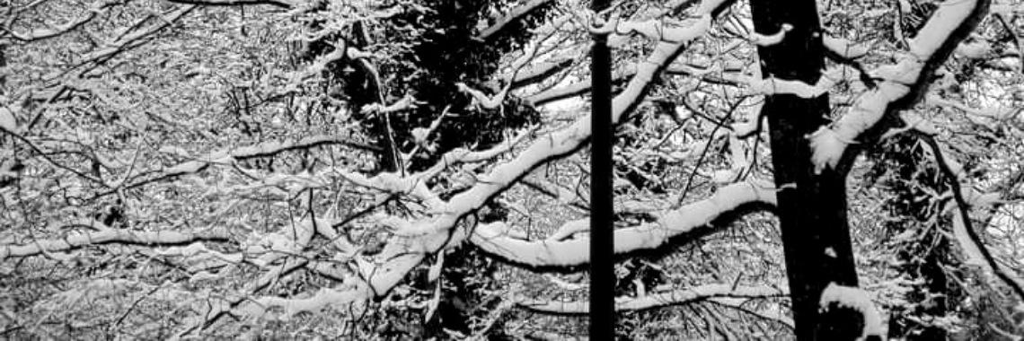  The first time I saw snow