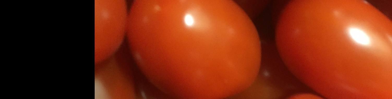  Tomaten festival