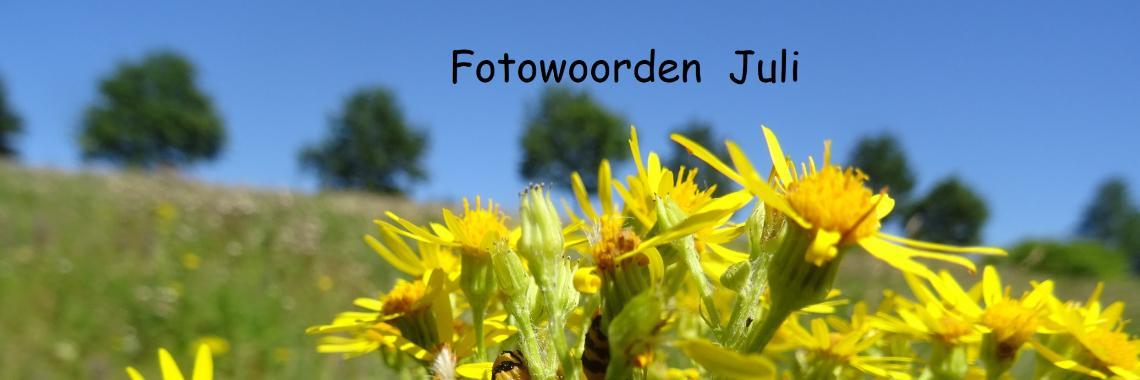  Uitdaging: Fotowoorden Juli 2021