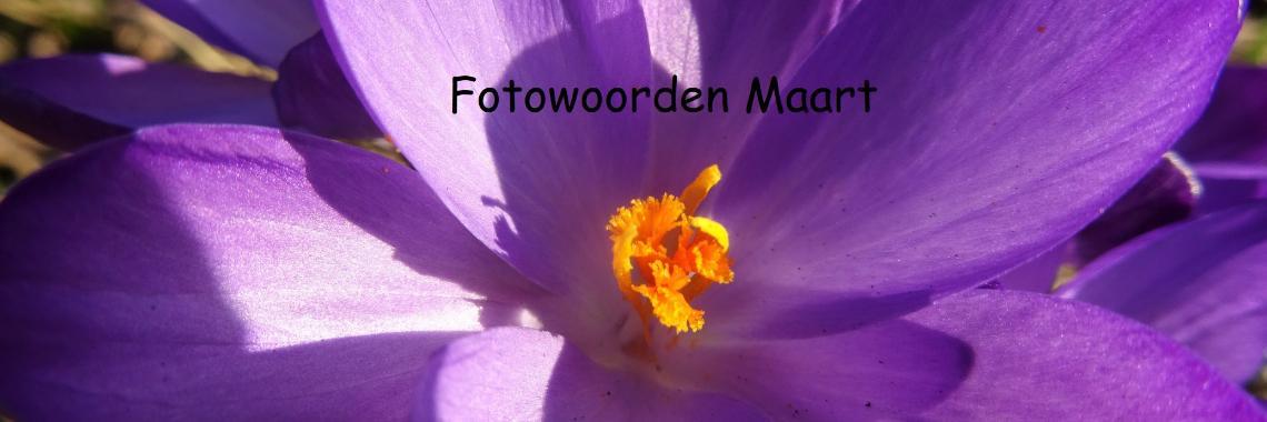  Uitdaging: Fotowoorden Maart 2022