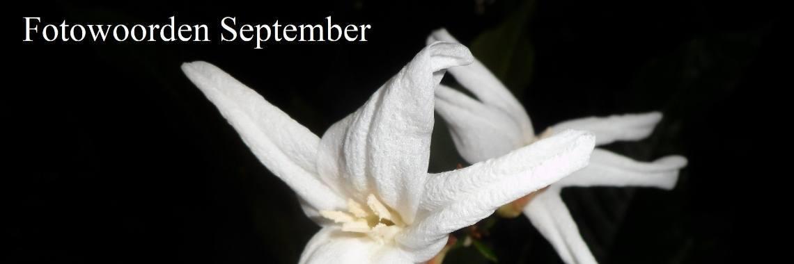  Uitdaging: Fotowoorden September 2020