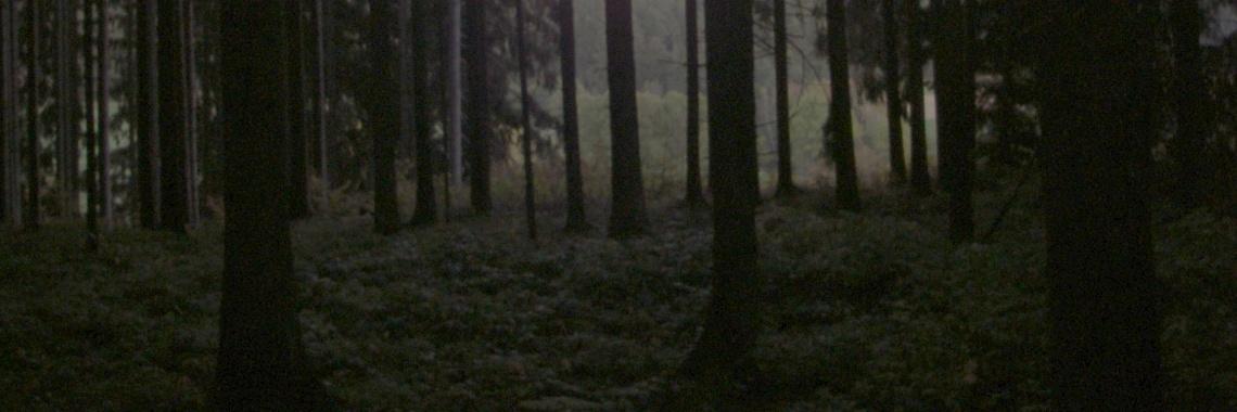  Wat te doen in Schwarzwald?