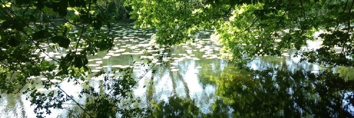 Wat te doen in Utrecht?