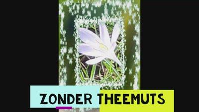  Zonder theemuts gaat het wel!