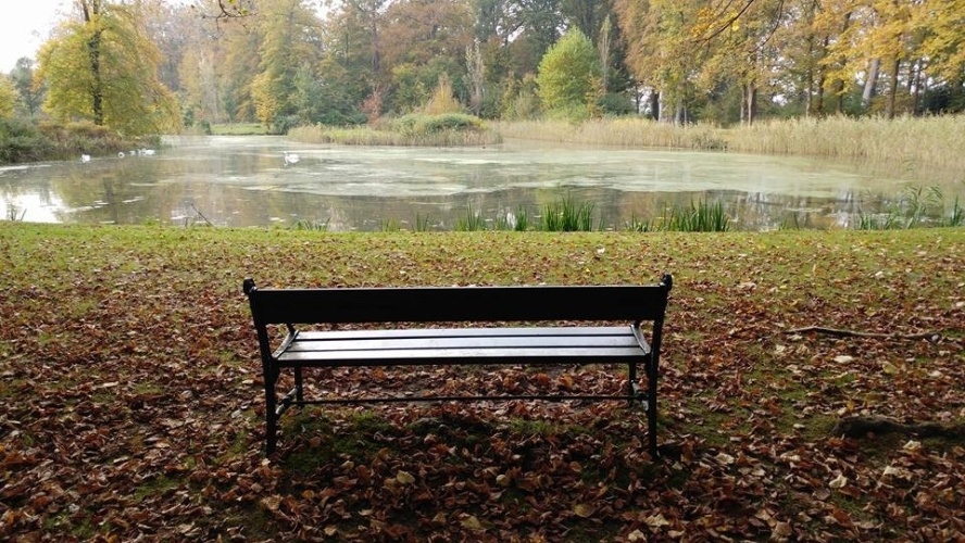 NLP Wandelcoaching 