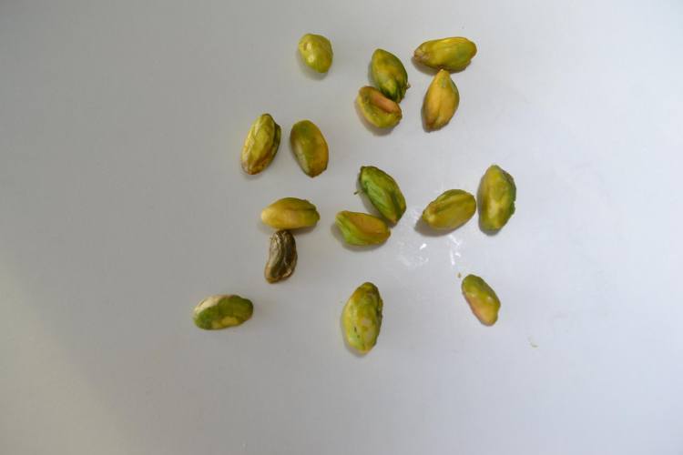 Pistachenoten