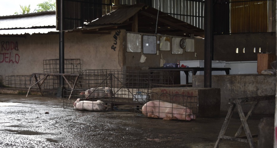 Bali : het varken voor je babi pangang