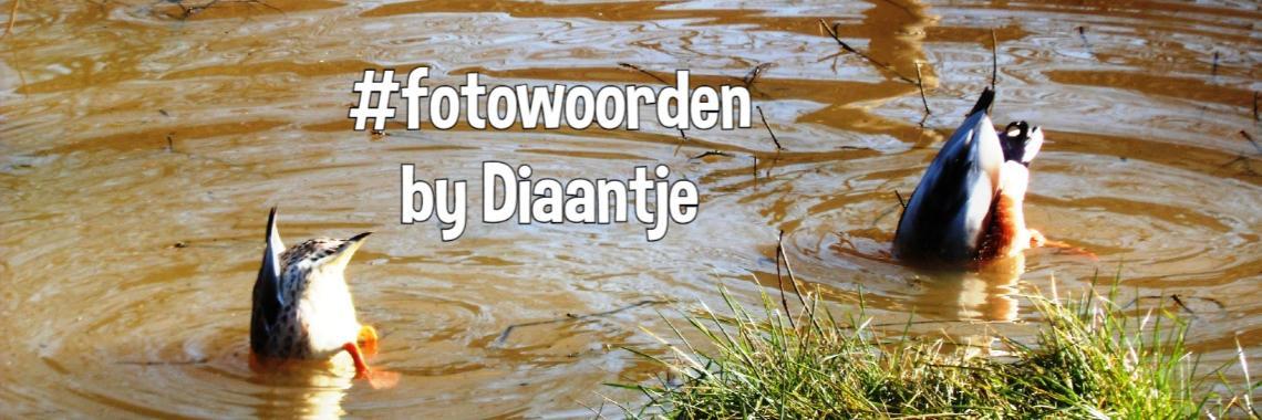  fotowoorden by Diaantje