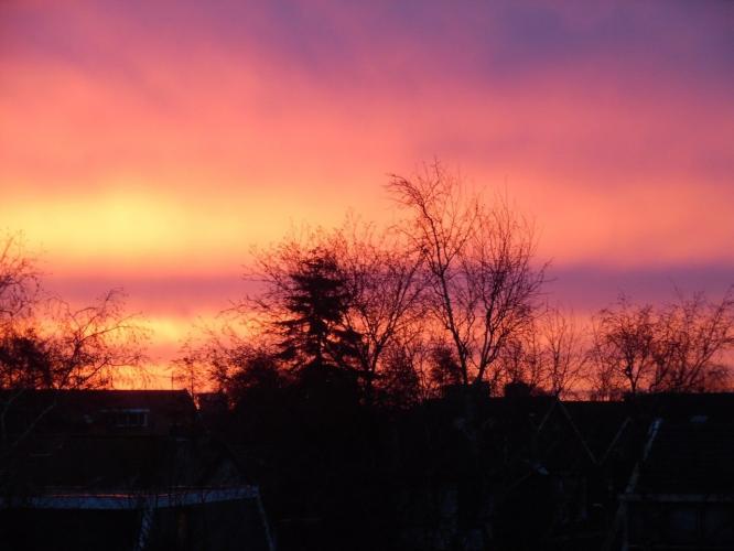  mooielucht
