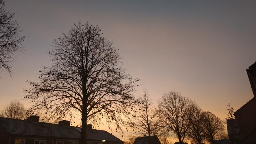  silhouetfoto