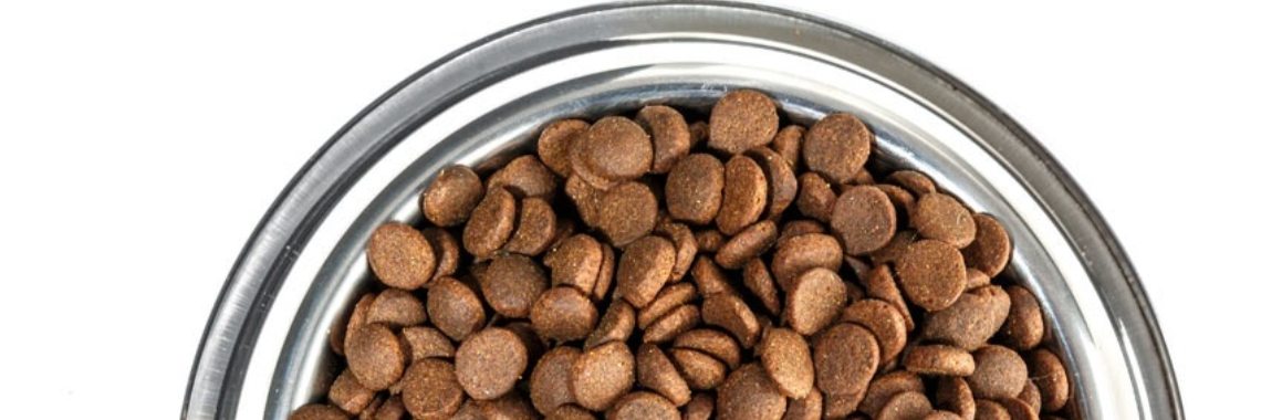 Eet mijn Wolf wel goed ? | Henkjan de Krijger