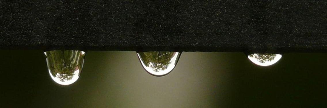 Wat wordt wereldwijd het meest gedeeld en hoe Welingelichte Kringen daarmee omgaat..  | Henkjan de Krijger