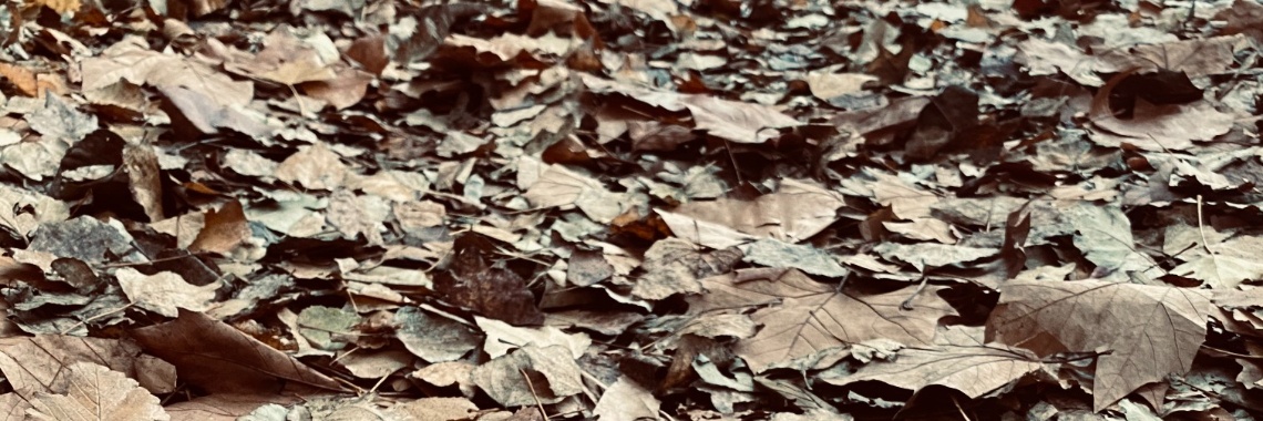 #Yoorsnovember #Celebrate | Henkjan de Krijger