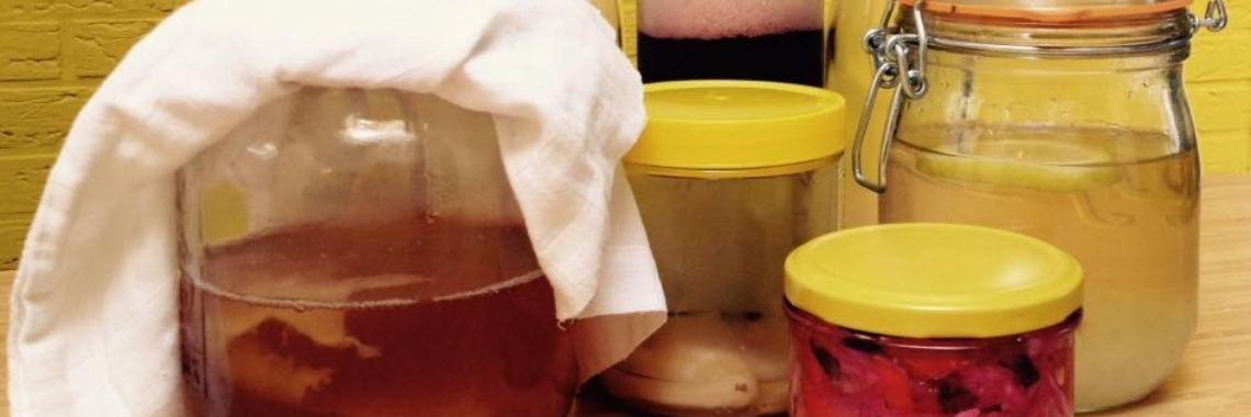 Fermenteren | Nathurel