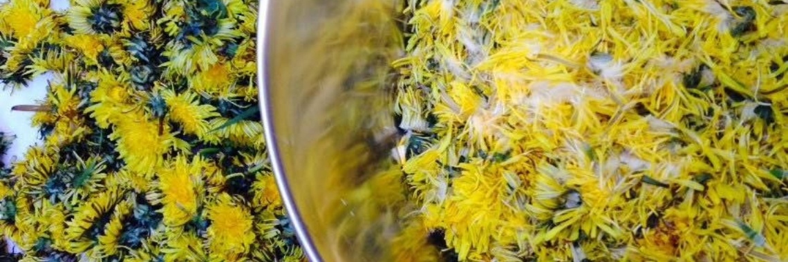 Paardenbloemgelei | Nathurel