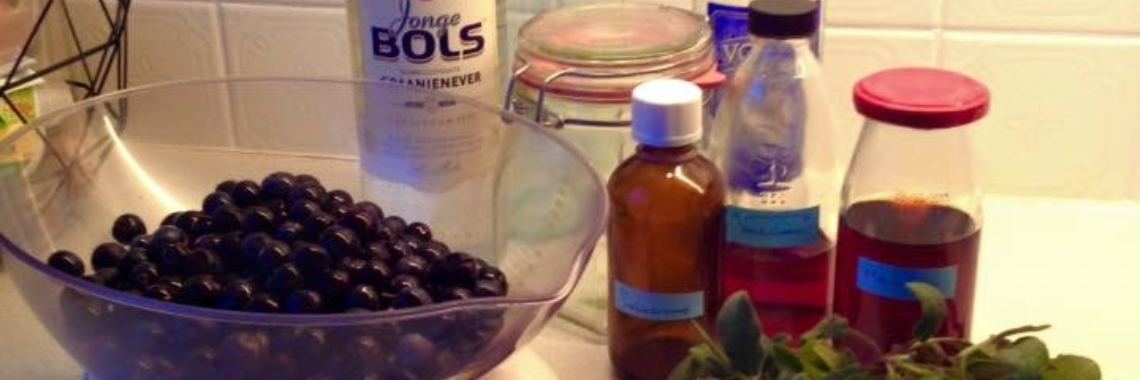 Sleedoornjenever | Nathurel