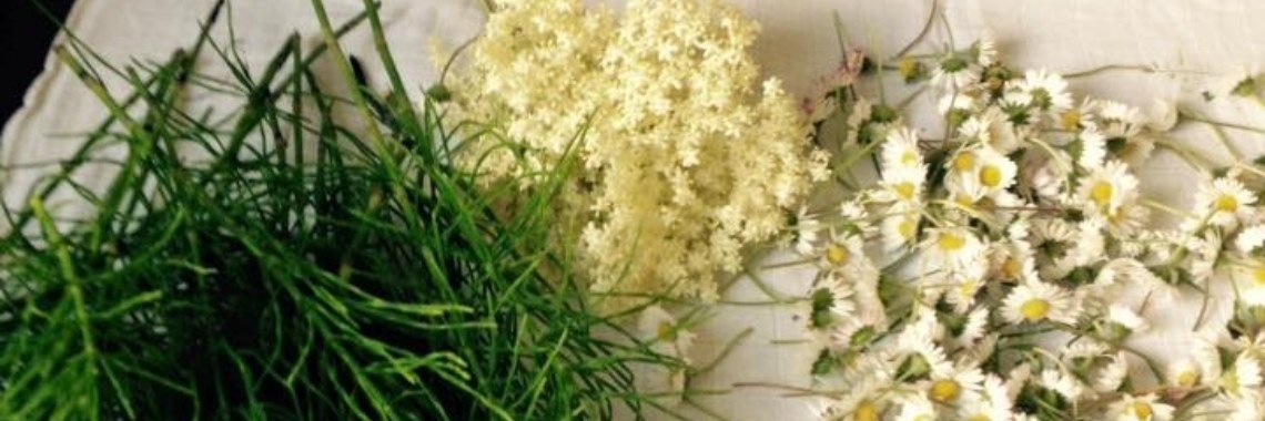 Wildplukken | Nathurel