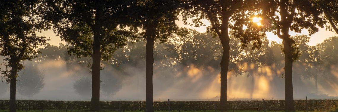 September mist | A kitchen in Holland
