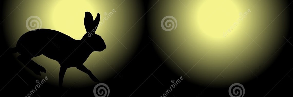 05/06 - Het konijn dat in de nacht omgetoverd wordt tot meisje | matds88