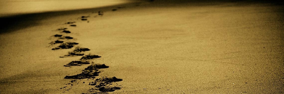 Vandaag is de dag | The writing bookworm