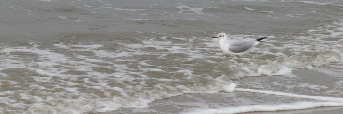 Ariël staat naast haar vader | Zilverbloem