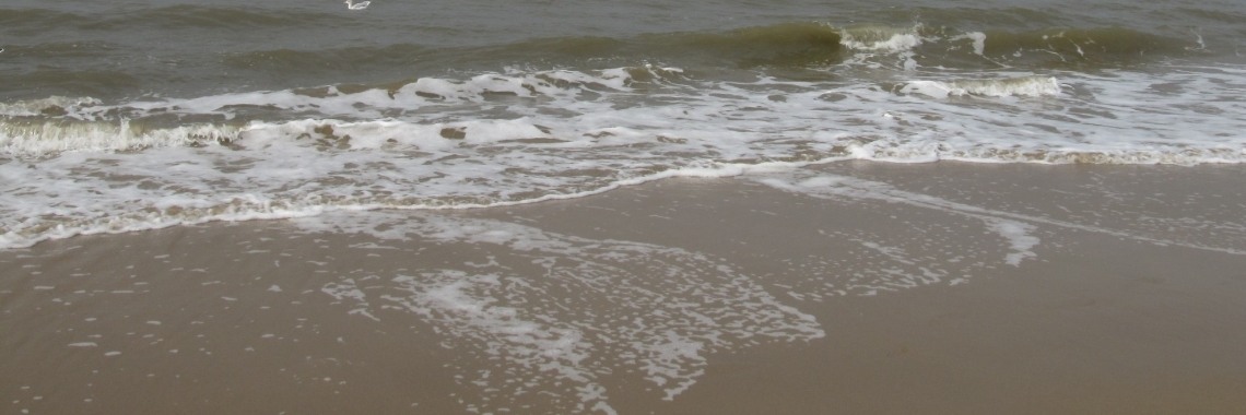 De vrede keert terug | Zilverbloem