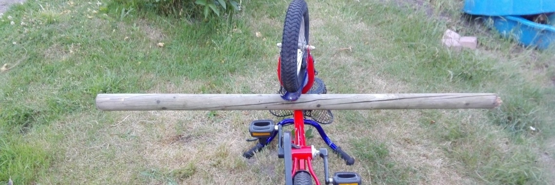 Een lach tegen de stilte. | Zilverbloem