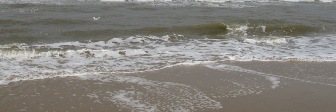 Een onverwachte vriend | Zilverbloem