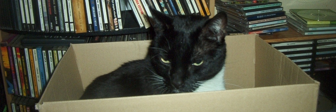 Een telefoontje vanuit het kattenpaleis.  | Zilverbloem