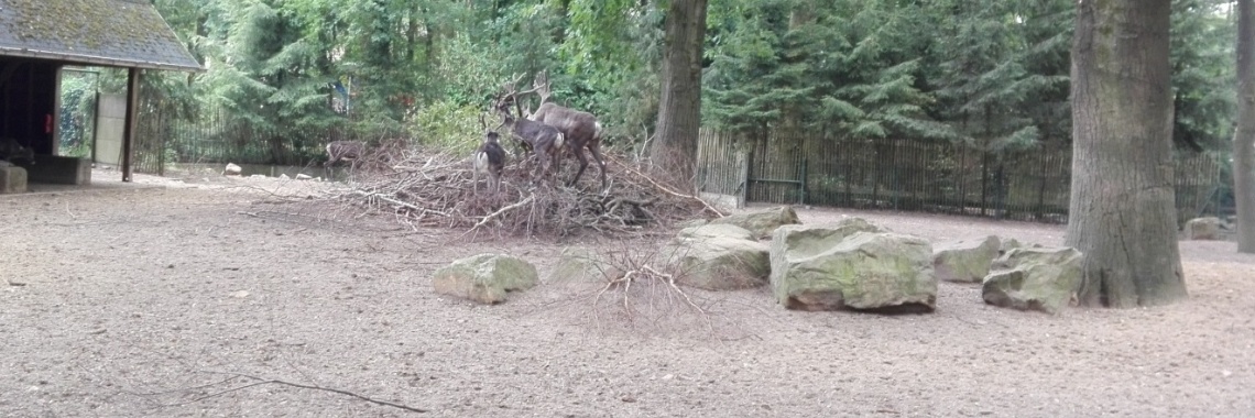 Is burgers zoo een leuk uitje? | Zilverbloem
