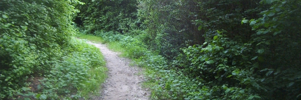 Eric zoekt de rust op | Zilverbloem