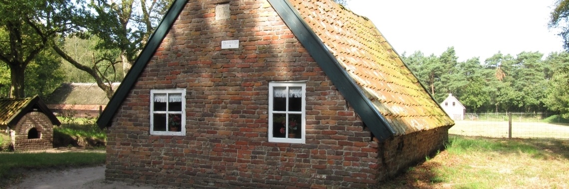 Hulp van een oude vriendin | Zilverbloem