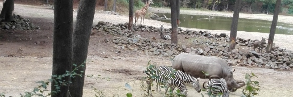 Is Burgers zoo leuk? deel 2 | Zilverbloem