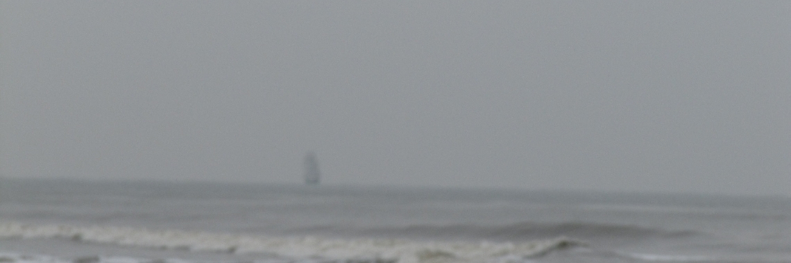 kleine visjes horen veel. | Zilverbloem