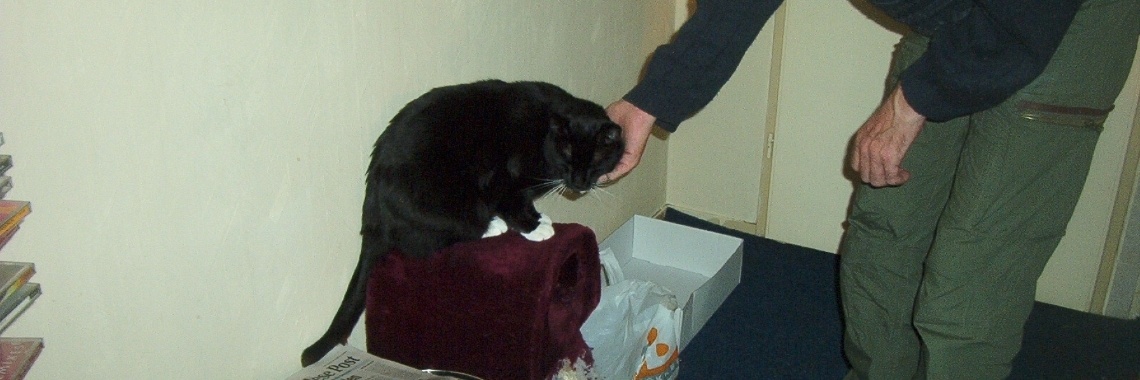 Lachen in het kattenpaleis. | Zilverbloem