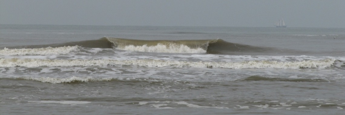 Neptunus denkt na.... | Zilverbloem