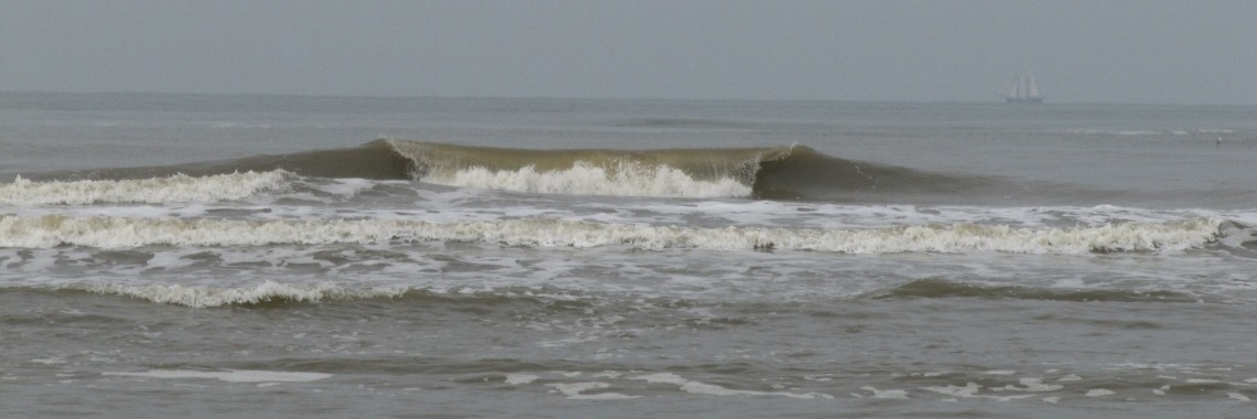 Onderhandelen of vechten? | Zilverbloem