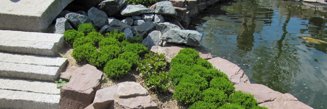 Op weg naar werken | Zilverbloem