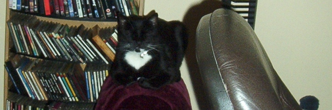 Opgesloten in het kattenpaleis. | Zilverbloem