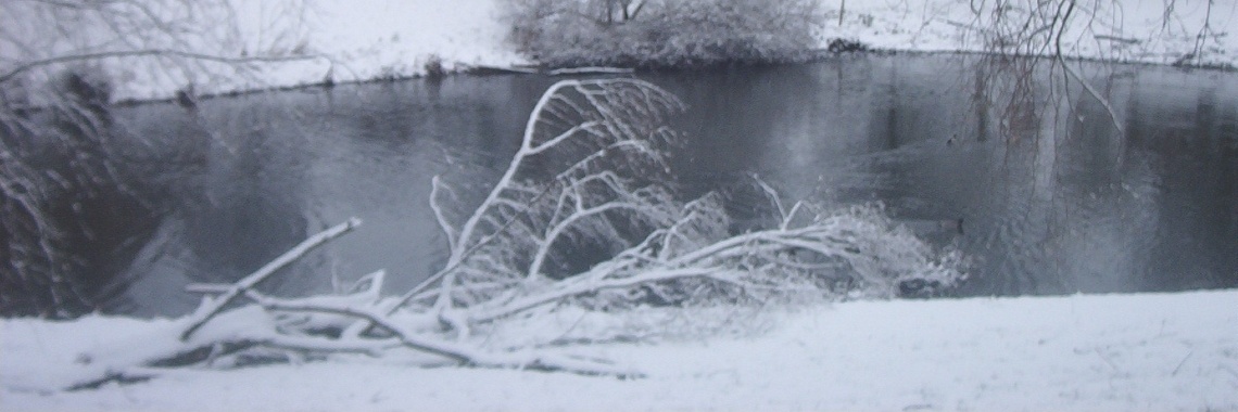 Schrijfuitdaging zeemeermin | Zilverbloem