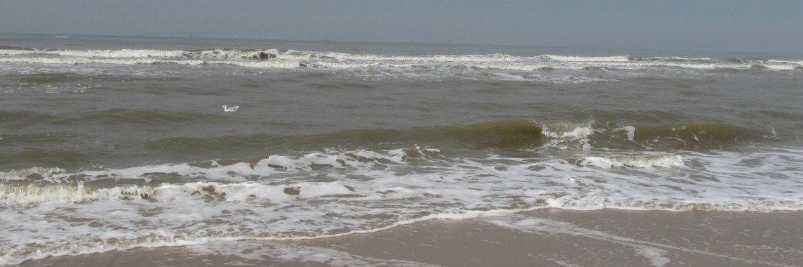 Tijd om naar huis te gaan. | Zilverbloem