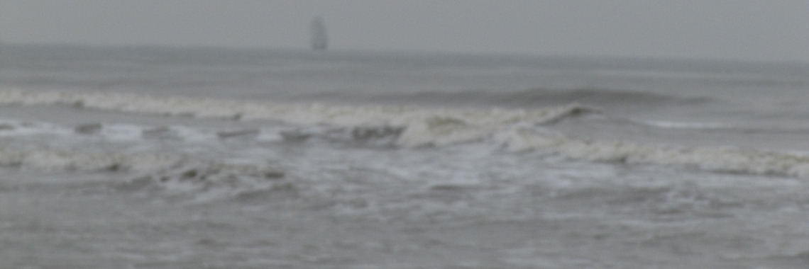 Wat gaat Eric doen? | Zilverbloem